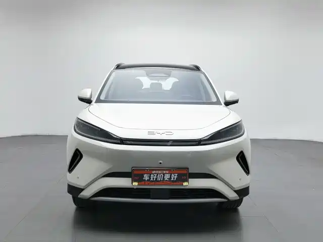 BYD Hai Shi 05 EV 2025 520KM Smart Navigation Edition — фото 3