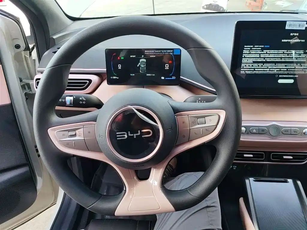 BYD Seagull 2025 Smart Drive Edition 305km Vitality Version фото 11