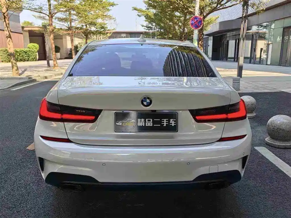 BMW 3 Series 2020 325Li M Sport Black Night Package фото 8