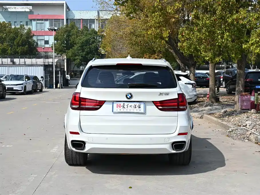 BMW X5 (Import) 2017 xDrive35i M Luxury Sport фото 5