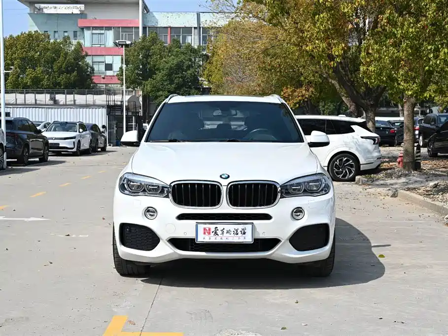 BMW X5 (Import) 2017 xDrive35i M Luxury Sport фото 2