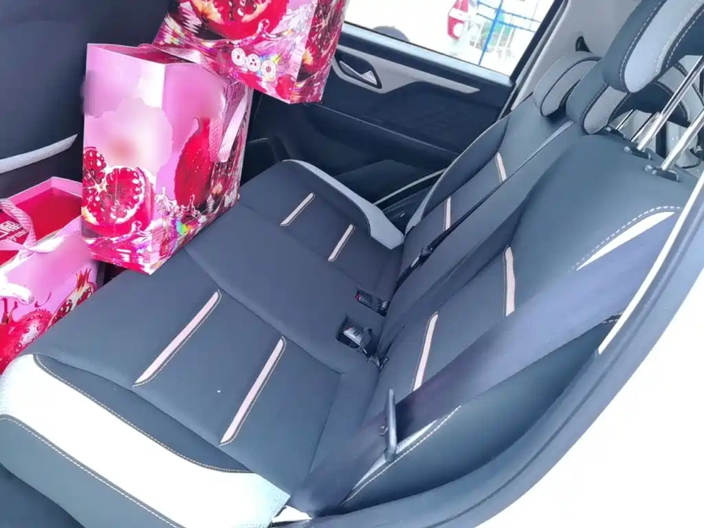 Sehol Flower Fairy 2021 2021 Jimei Edition 302km Luxury