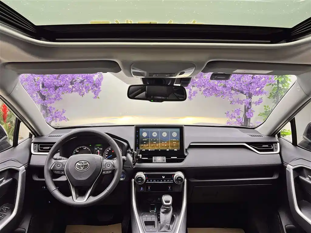 Toyota Wildlander 2020 Hybrid 2.5L E-CVT FWD Premium Edition фото 14