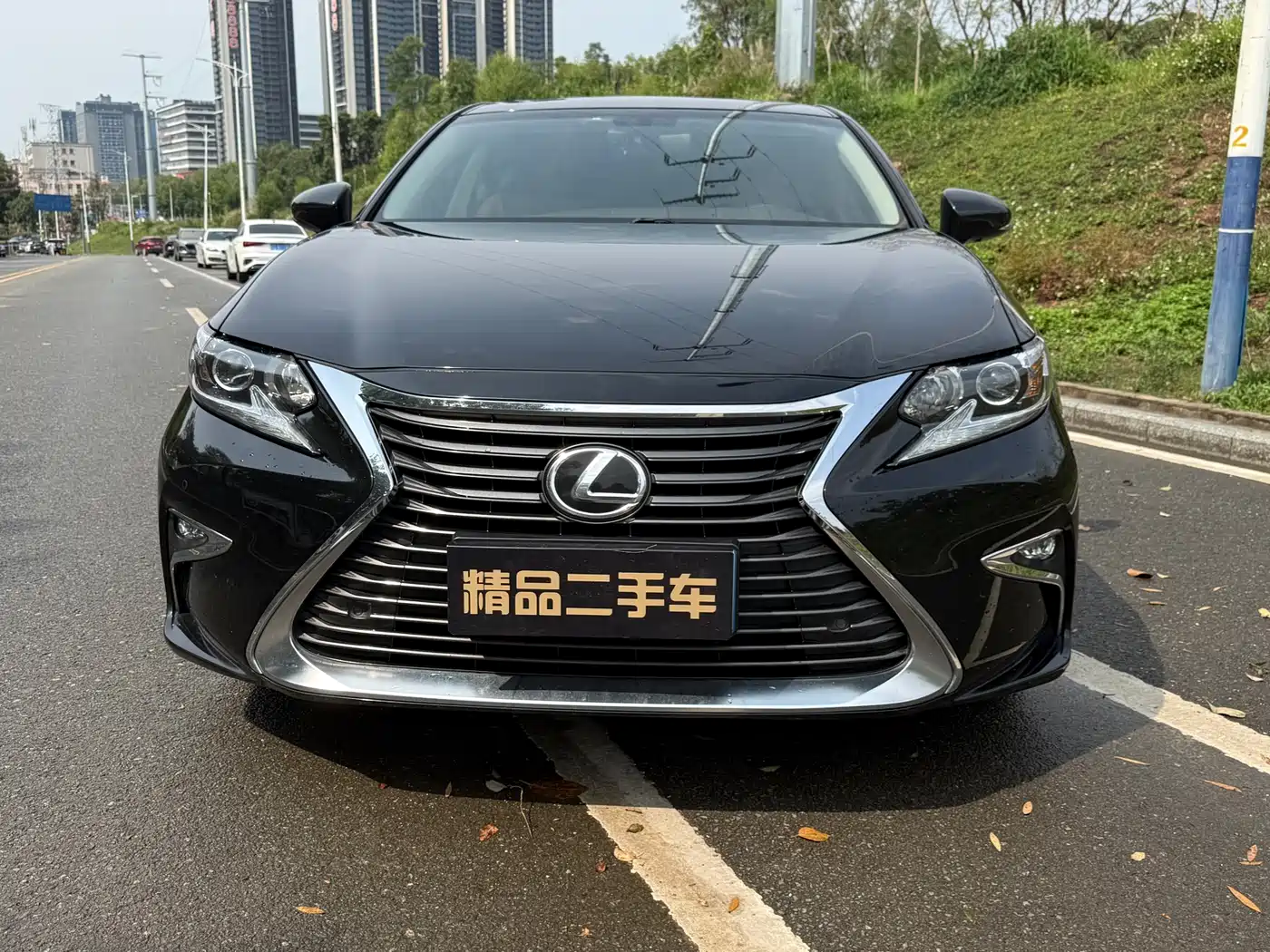 Lexus ES 2017 200 30th Anniversary Edition фото 3