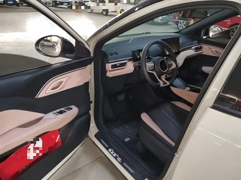 BYD Seagull 2023 Vitality Edition фото 16
