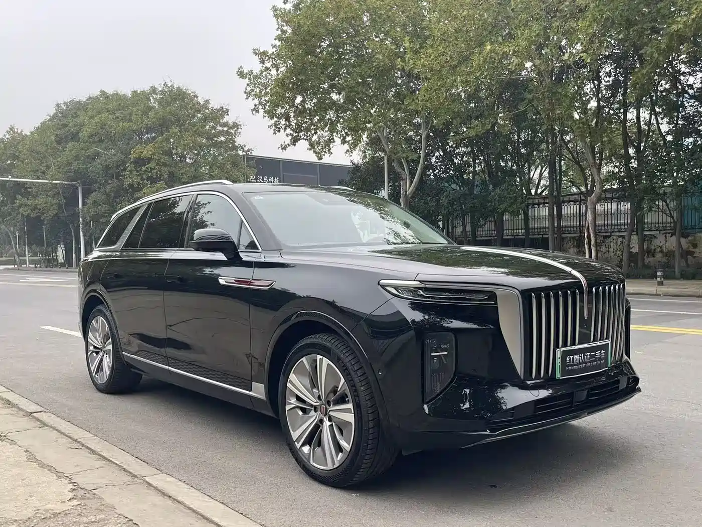 Hongqi HONGQI E HS9