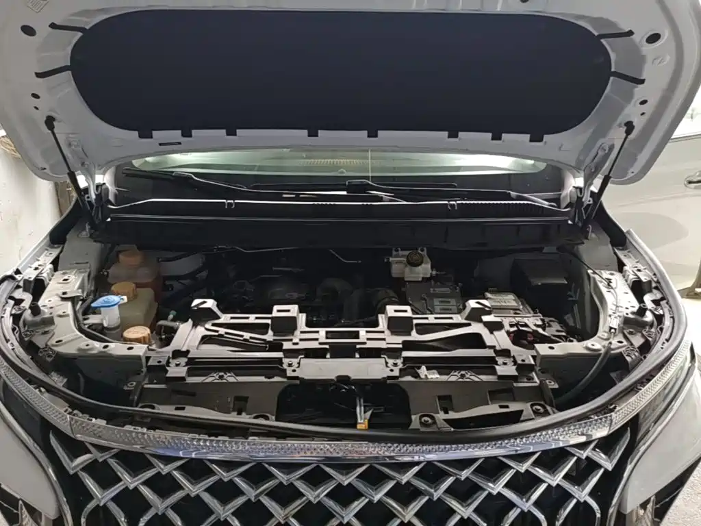 Dongfeng Fengxing Starlight V9 2025 2024 1.5TD 200km Chinese Knot Series Exclusive
