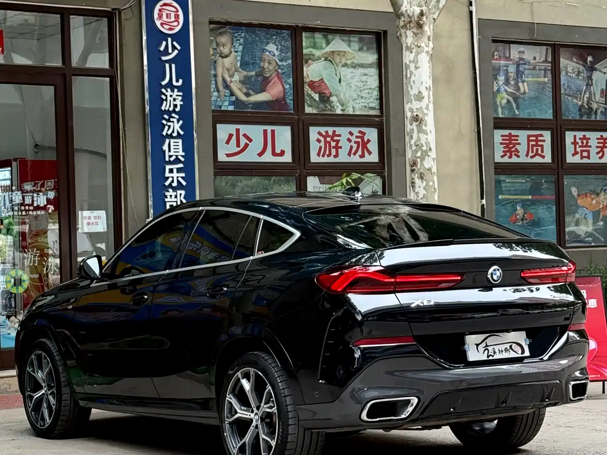 BMW X6