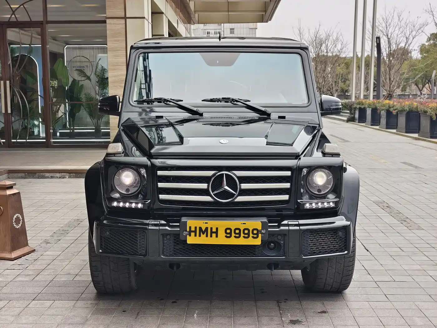 Mercedes-Benz G-Class 2016 G 500 фото 2
