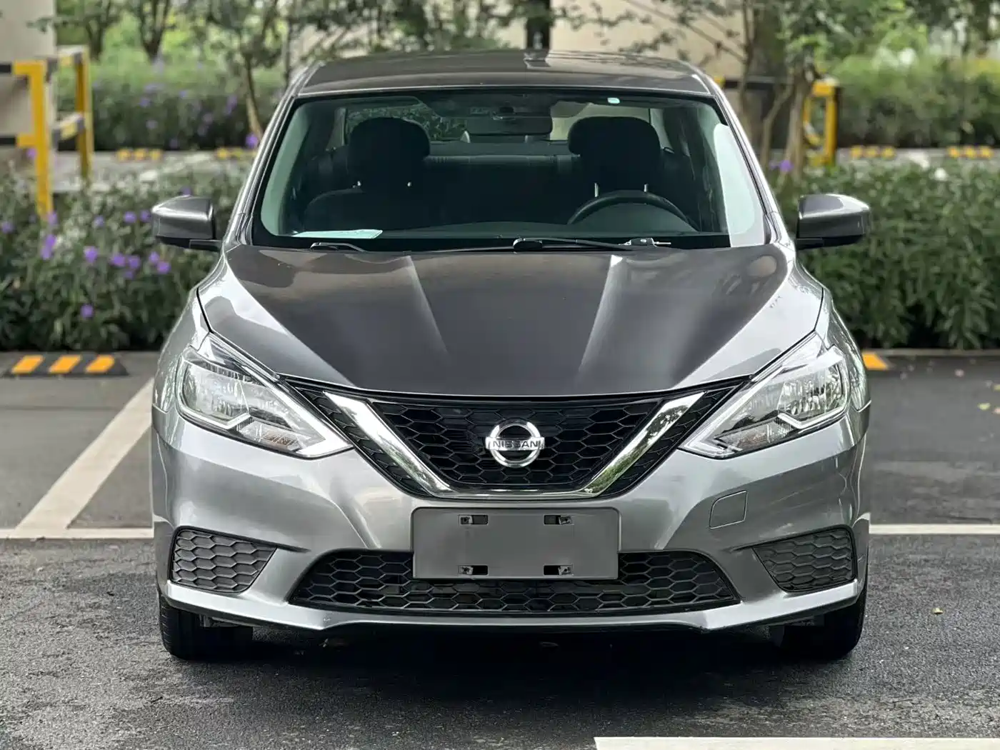 Фото 3 - Nissan Sylphy