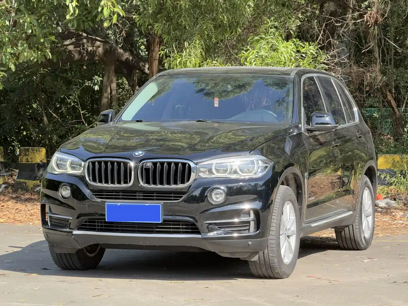 BMW X5 (Import) 2017 xDrive35i Leading Edition