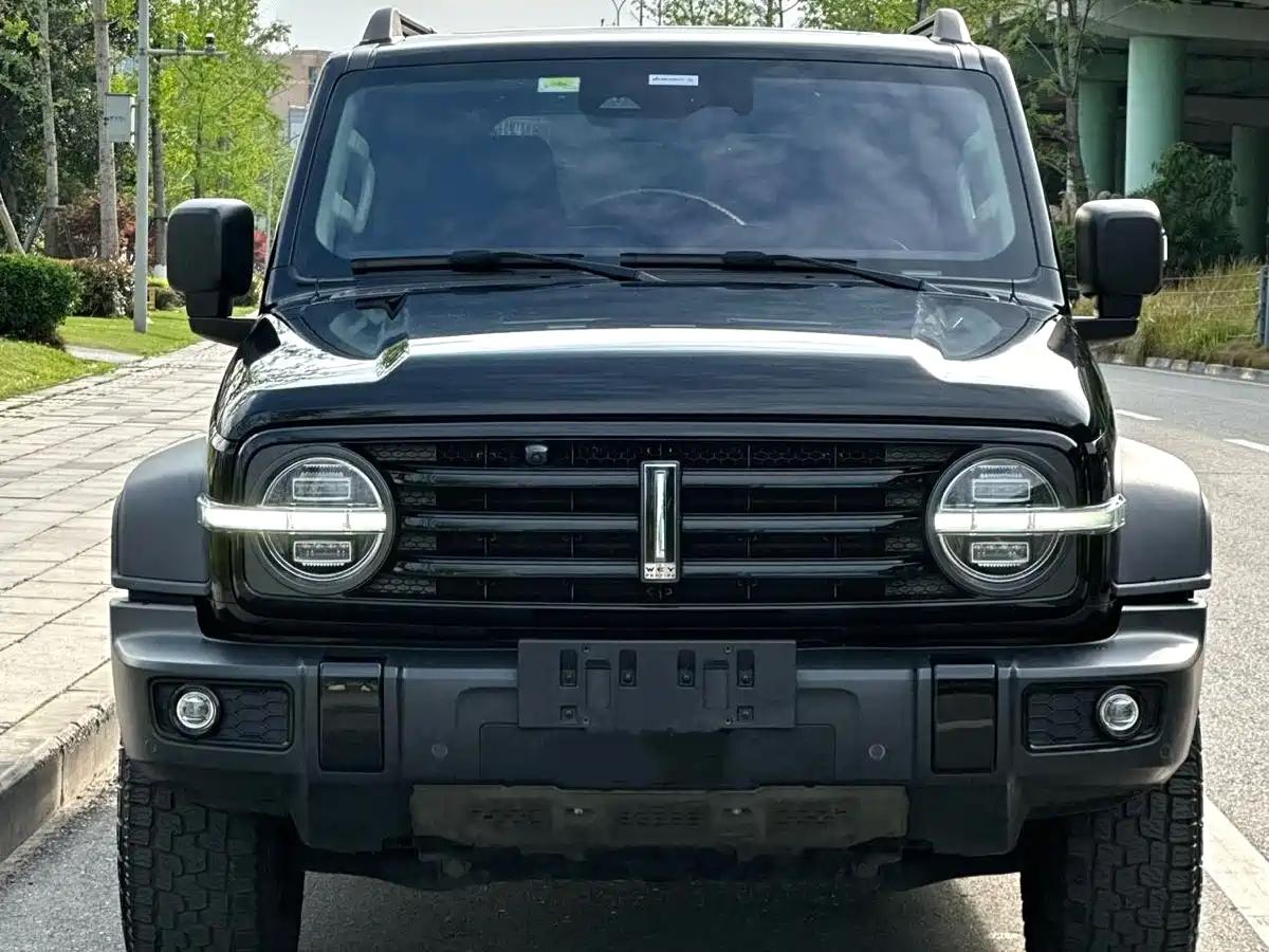 Tank 300 2021 Off-road Version 2.0T Conqueror фото 2