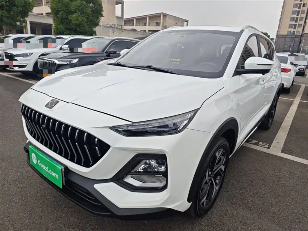 Sehol X8 2021 2021 300T DCT Luxury Smart Connect 7-Seater