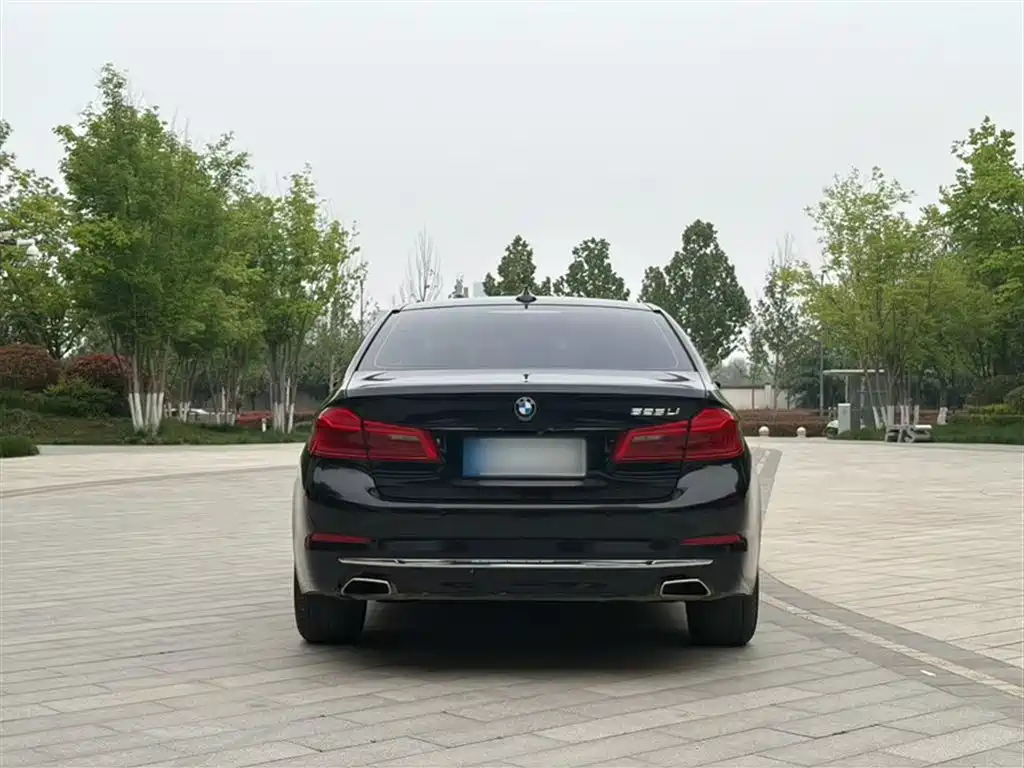 BMW 5 Series 2018 525Li Luxury Package фото 6