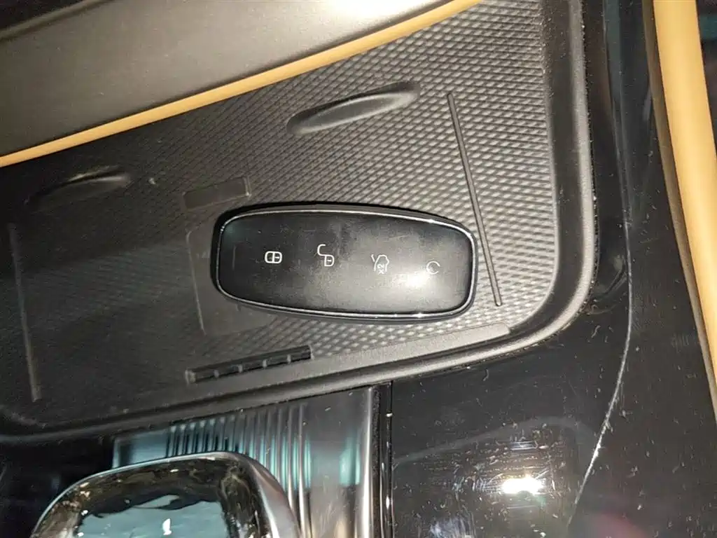 Denza D9 2024 DM-i 980 AWD Prestige фото 9