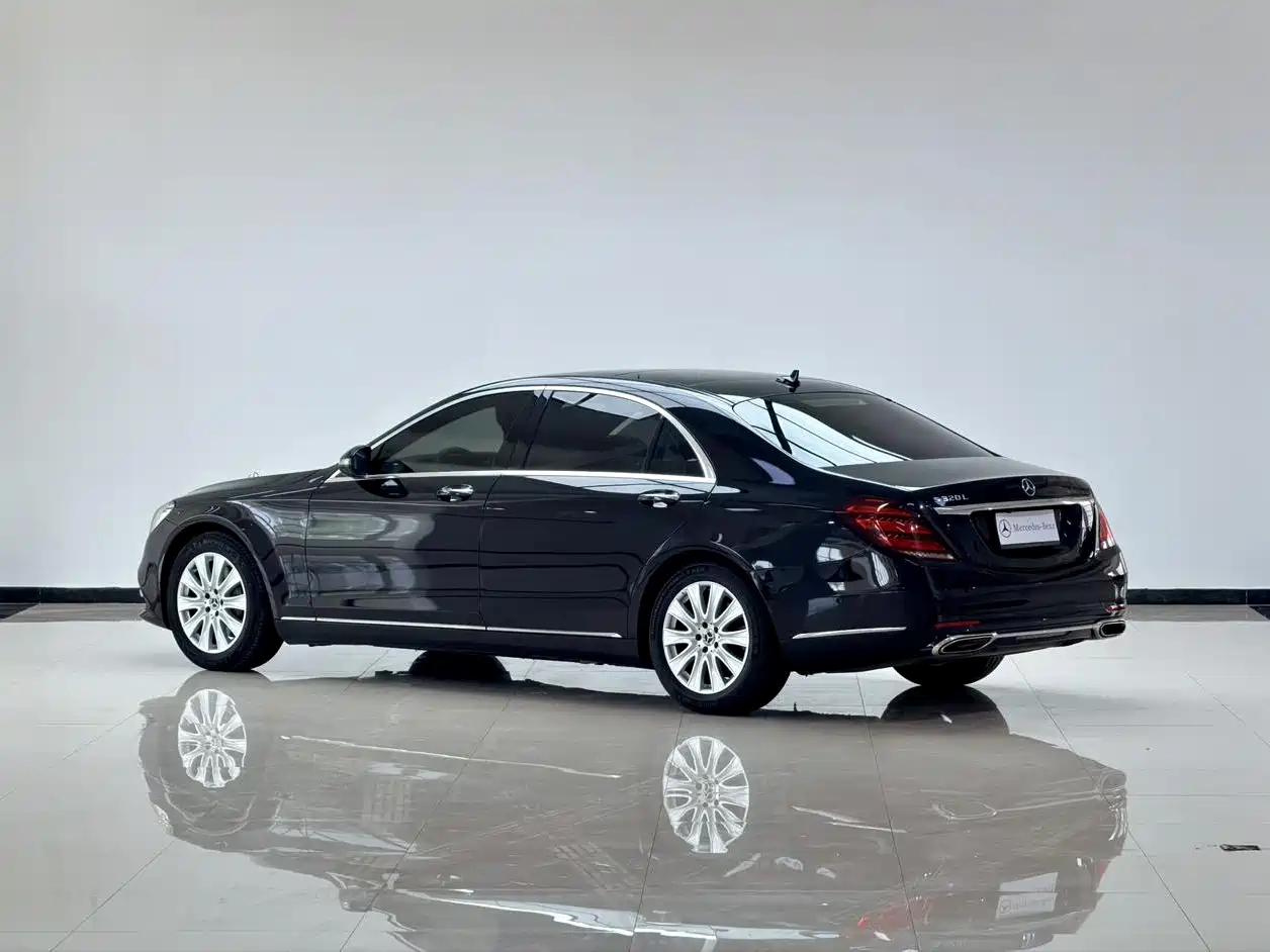 Mercedes-Benz S-Class 2018 S 320 L фото 13