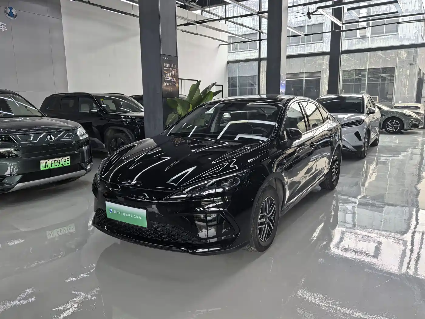 BYD Hai Bao 05 DM-i 2025 DM-i Smart Driving Edition 120KM Flagship