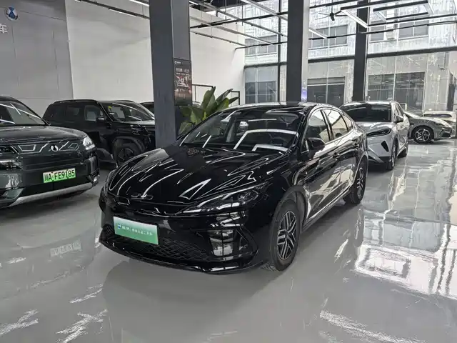  BYD Hai Bao 05 DM-i 2025 DM-i Smart Driving Edition 120KM Flagship