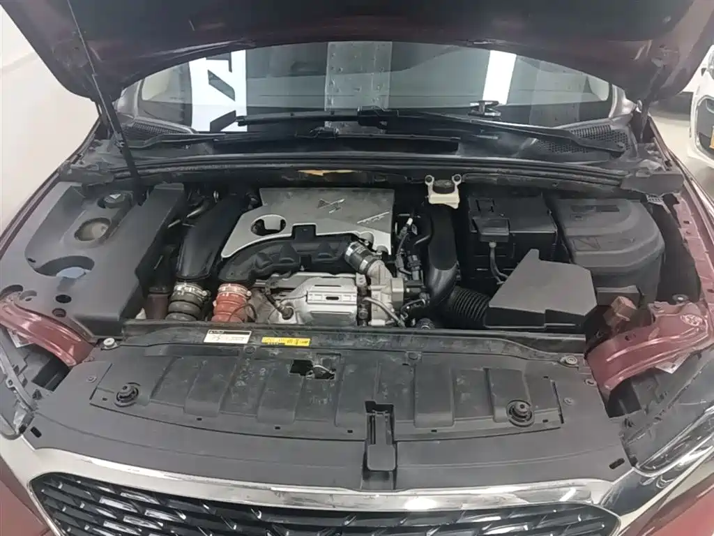 DS 5LS 2018 2018 30THP Premium Edition