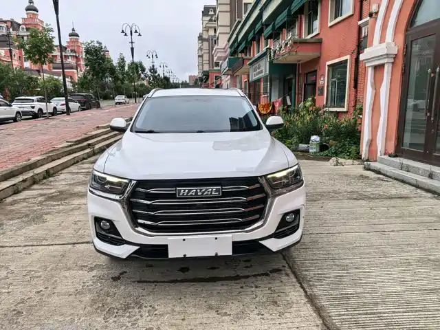 Haval H6 2021 National Trend Edition 1.5T Automatic Urban Edition — фото 1