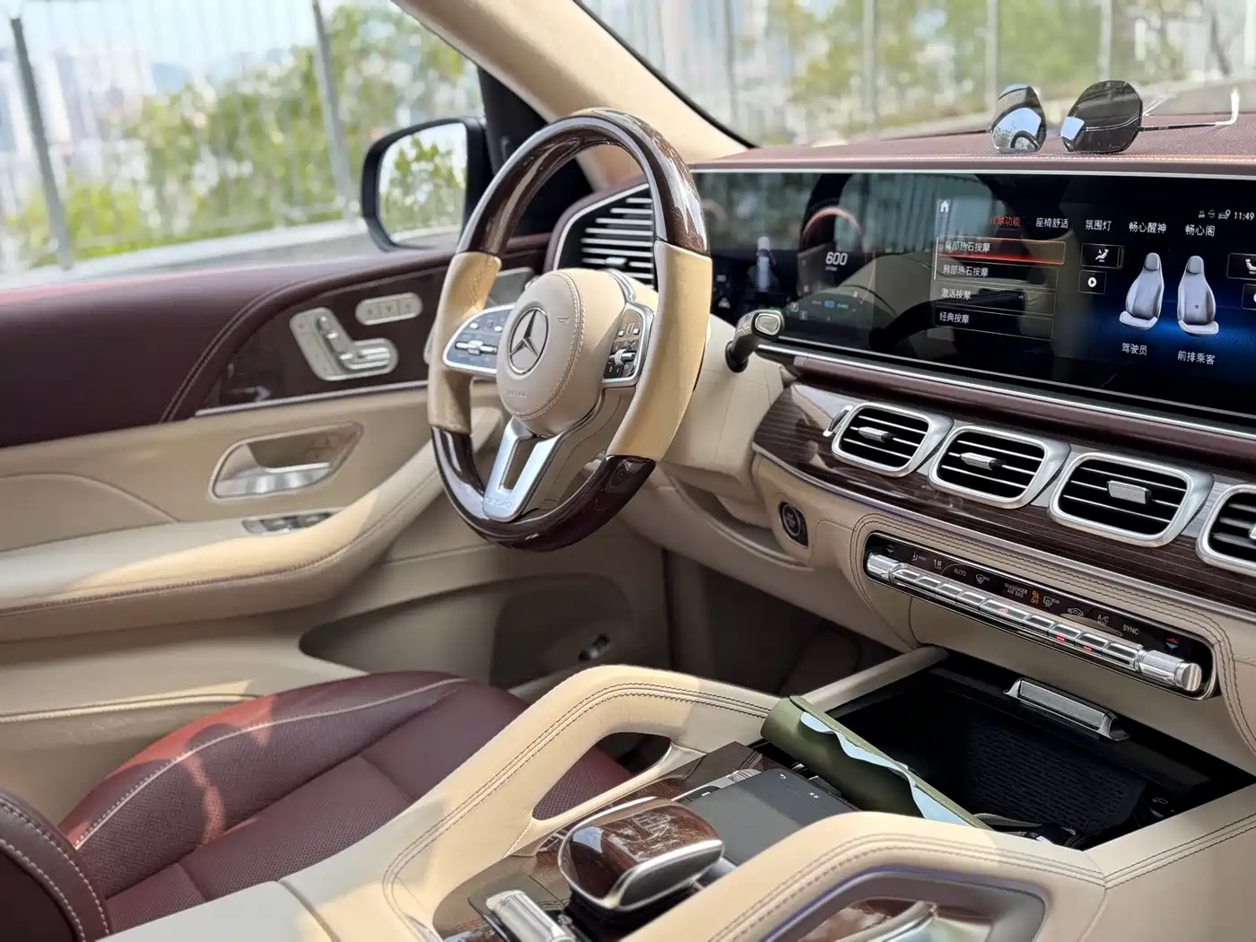Mercedes-Benz Maybach GLS 2021 GLS 600 4MATIC Ritual Edition фото 17