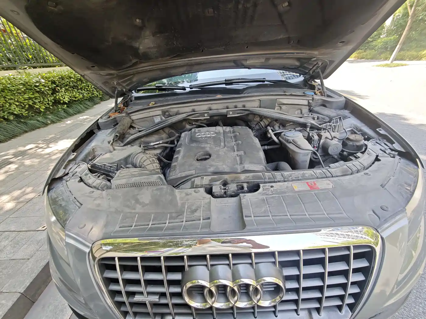 Audi Q5 (Import) 2010 2.0TFSI Sport Edition фото 24