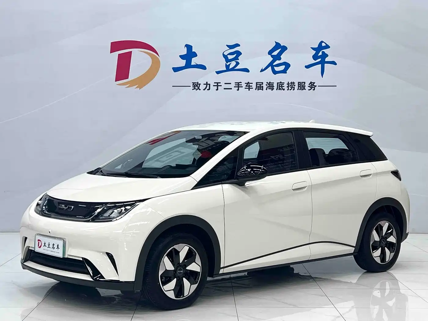 2026 BYD Dolphin