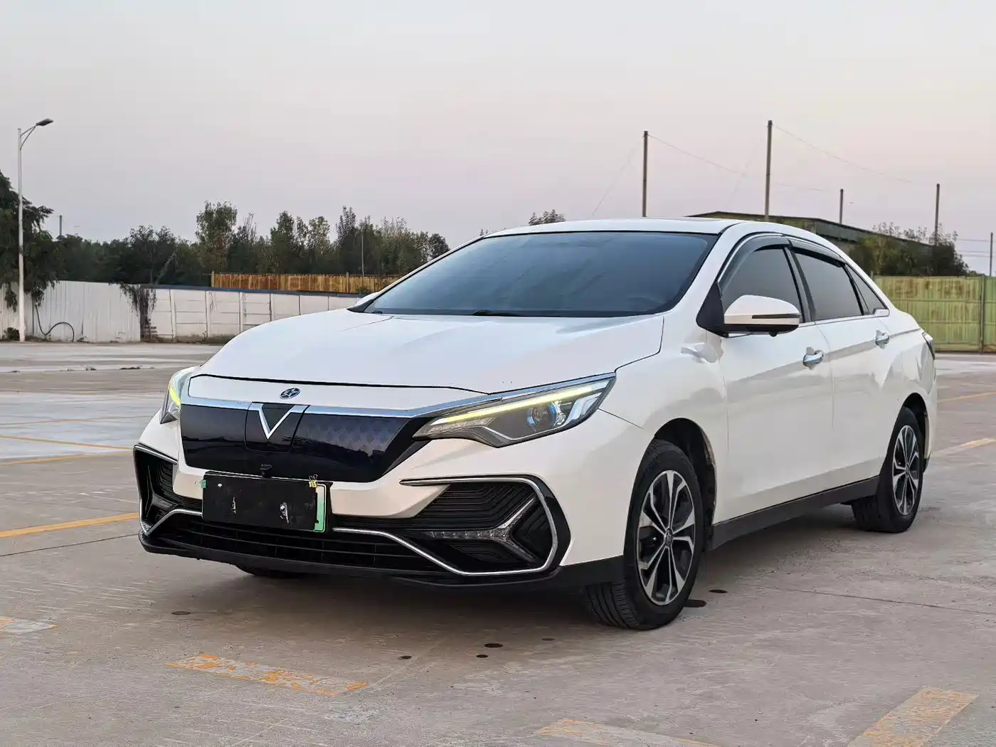 Venucia D60EV 2020 2019 Long-Range Premium Edition