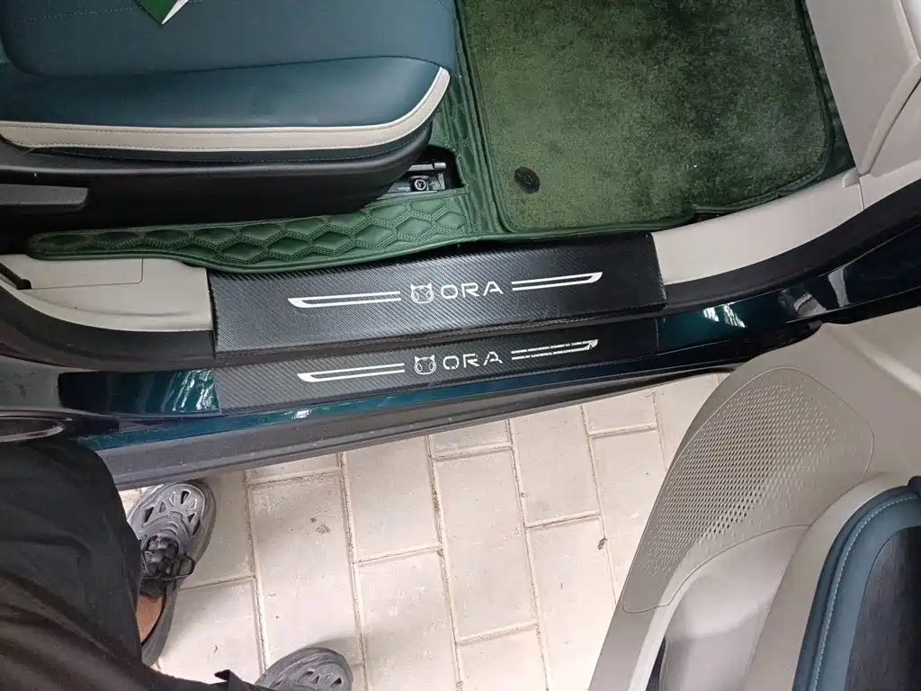 Ora Good Cat 2021 2021 500km Long Range Poseidon Edition (NMC)