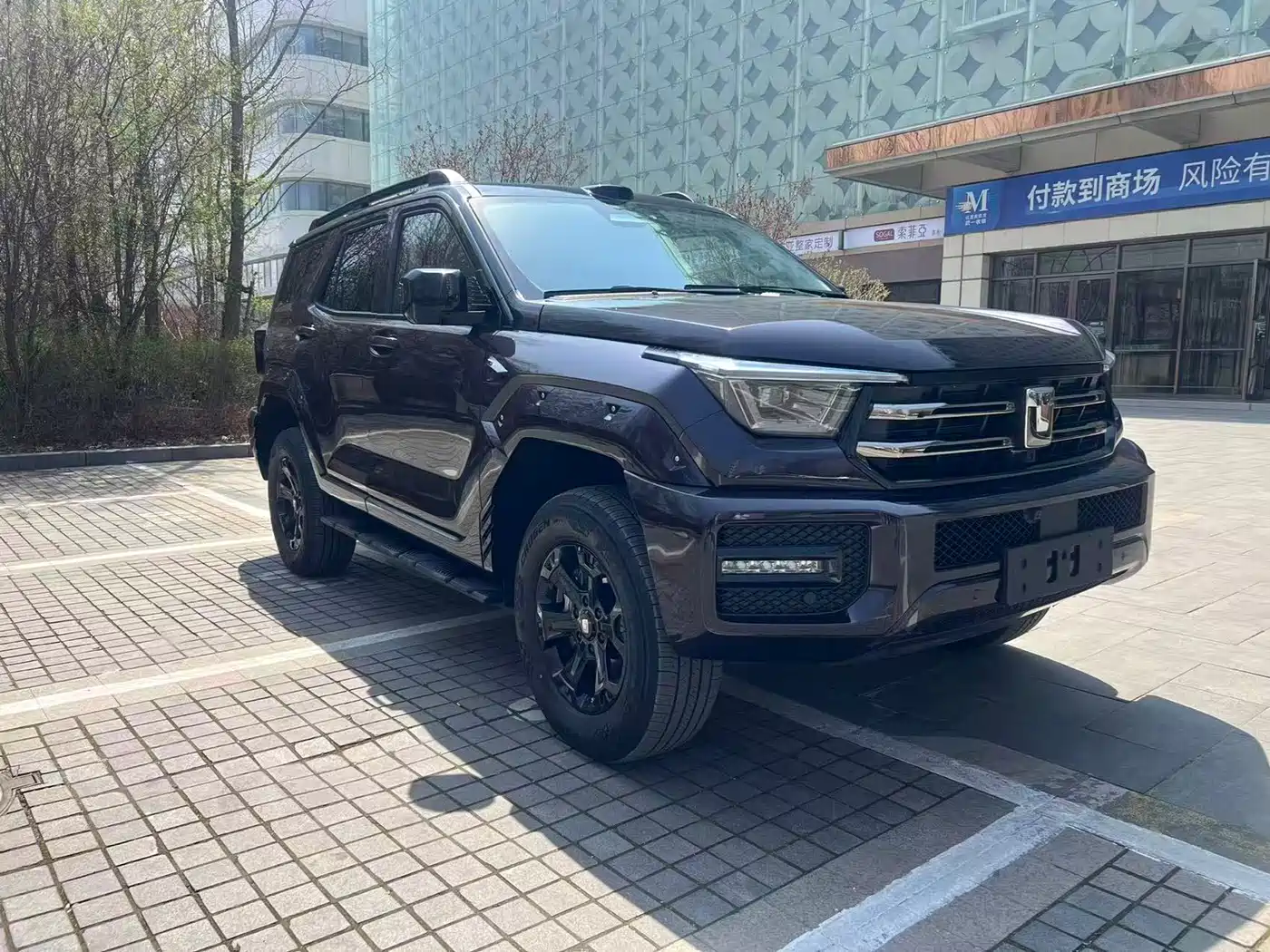 Tank 400 New Energy 2025 Hi4-Z фото 3