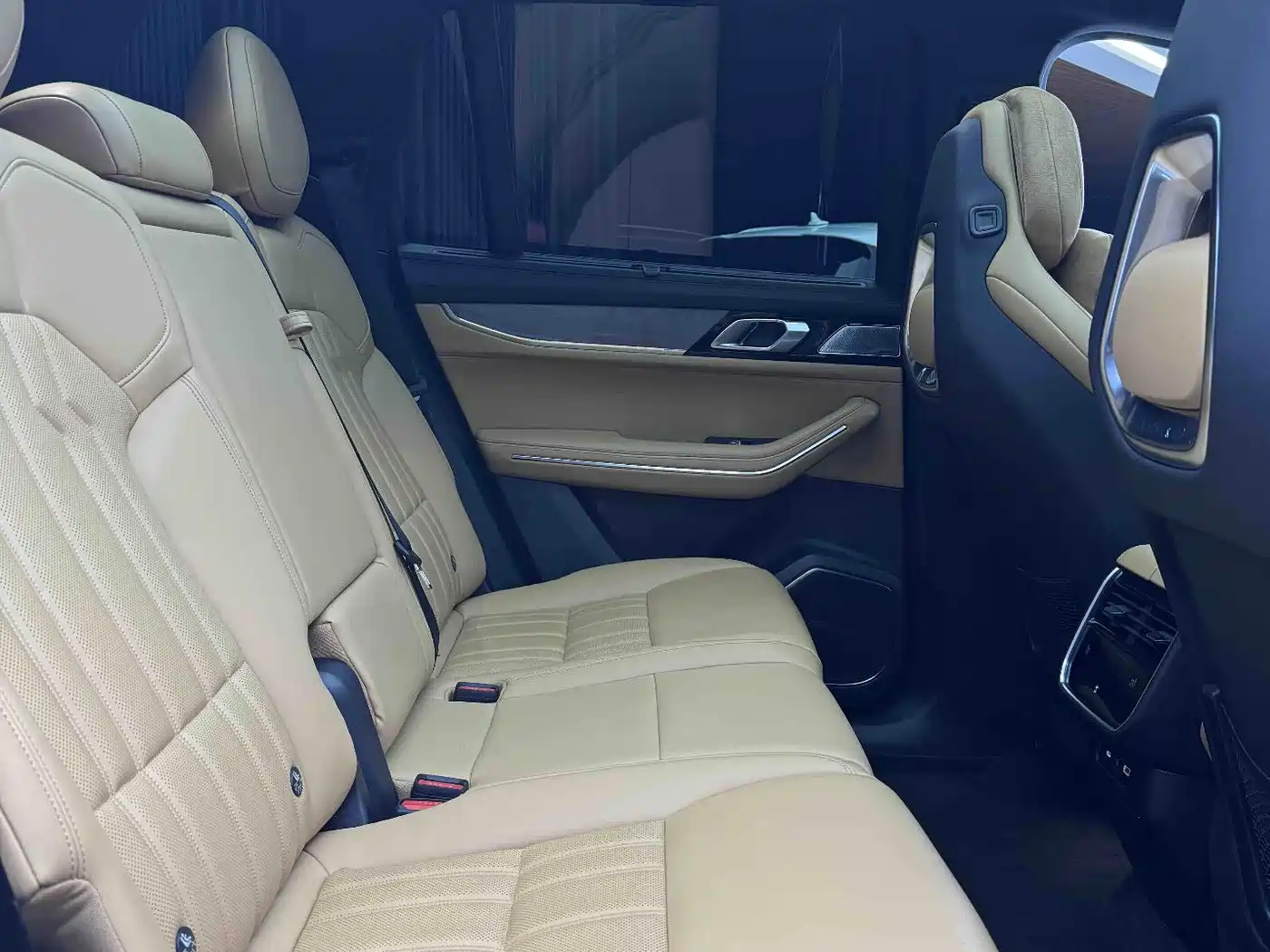 Lynk & Co 09 EM-P 2023 2.0TD EM-P Voyage PM 7-Seater фото 14