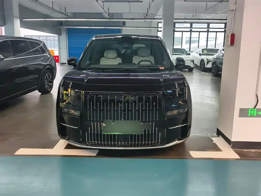 ZEEKR EXTREME KRYPTON 009