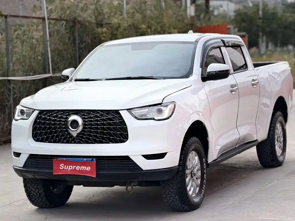 Great Wall Pao 2019 — пригон из Китая