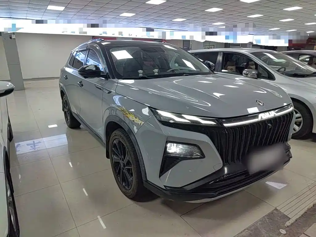 Фото 4 - Dongfeng Aeolus Haoji