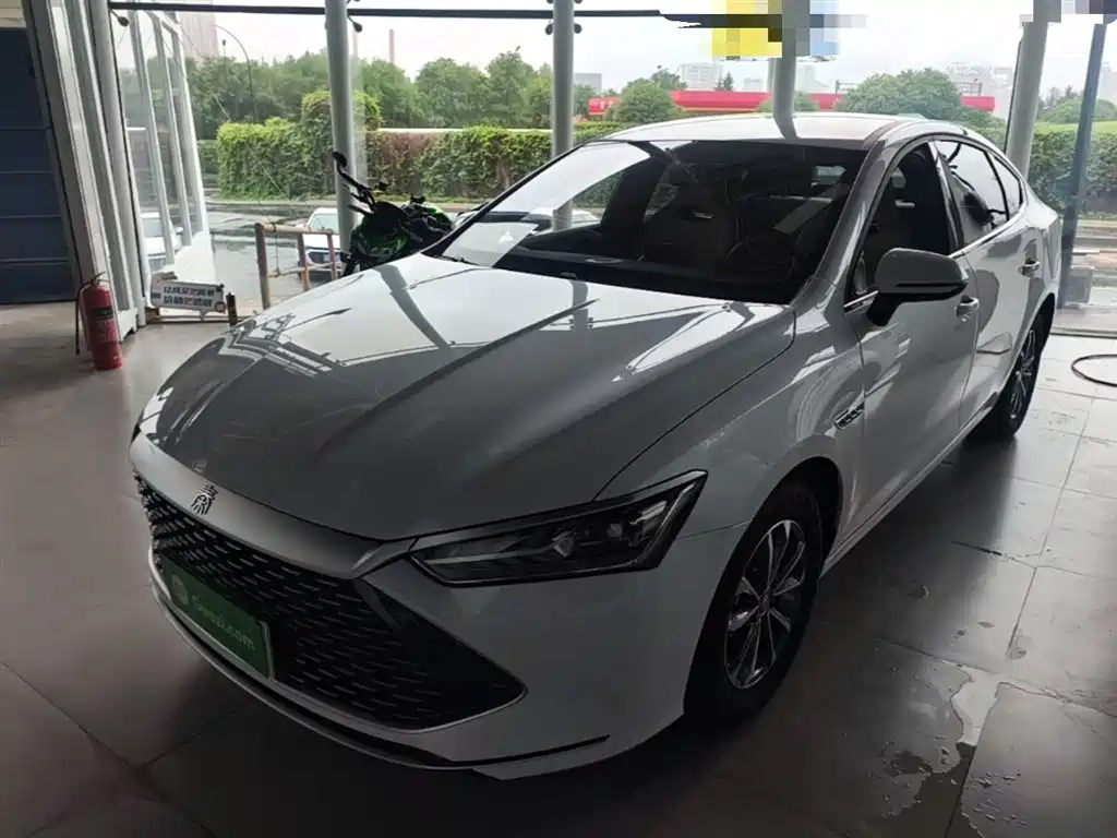 BYD Qin PLUS 2023 Champion Edition DM-i 55KM Leading