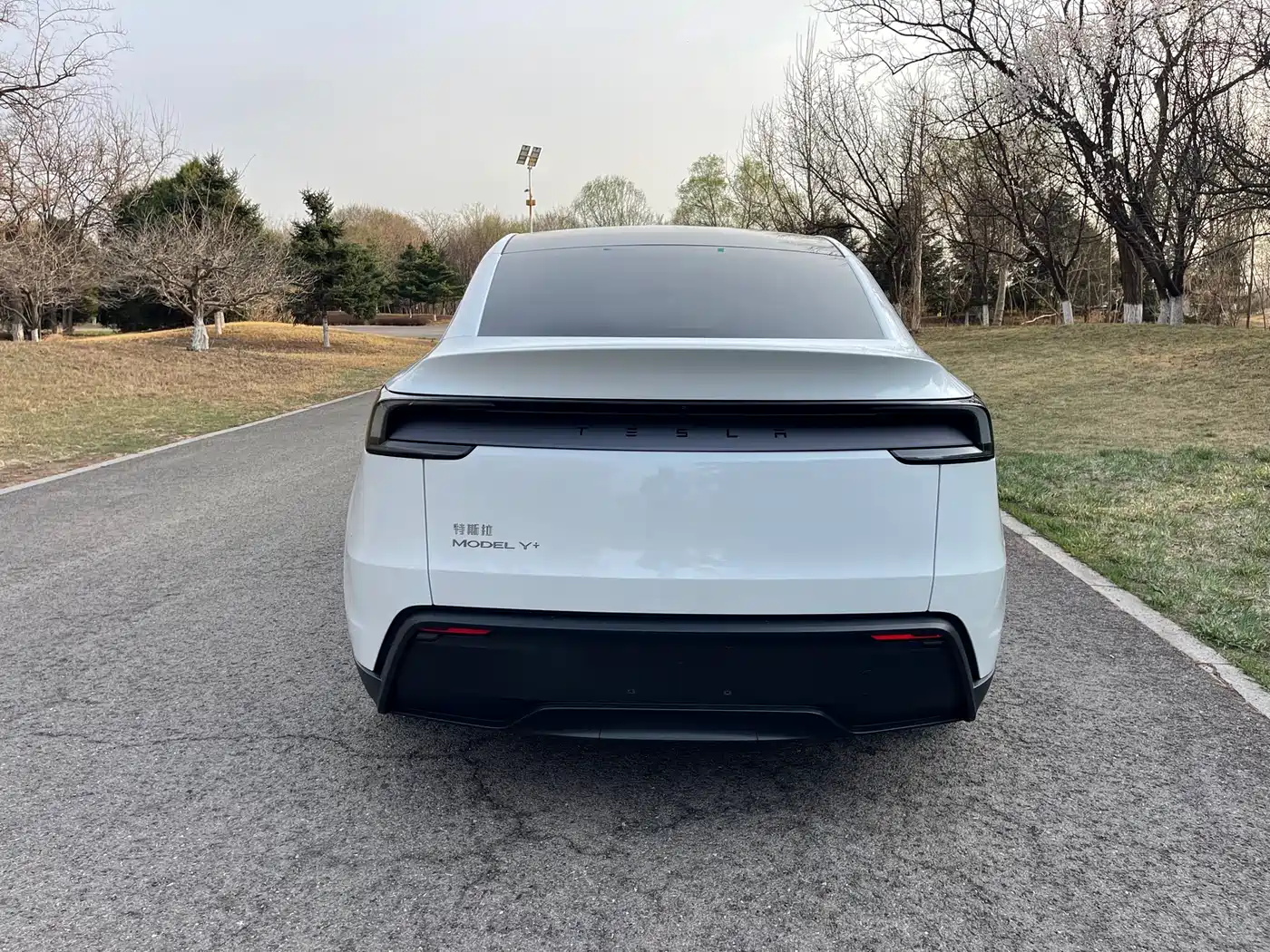 TESLA MODEL Y