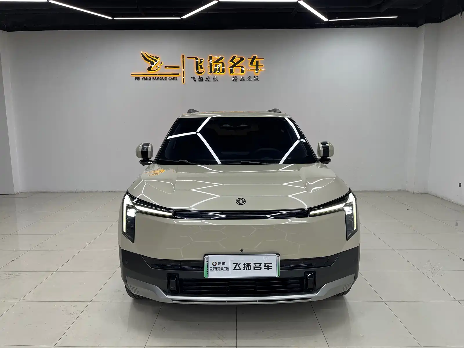 صورة 2 - Dongfeng Yipai Nano 06