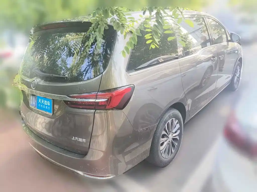 Фото 2 - Buick GL8