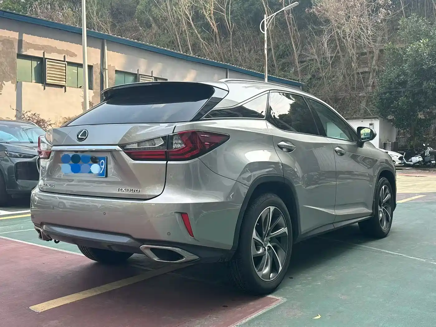 Lexus RX 2016 300 4WD Elegance Edition (China V) фото 6