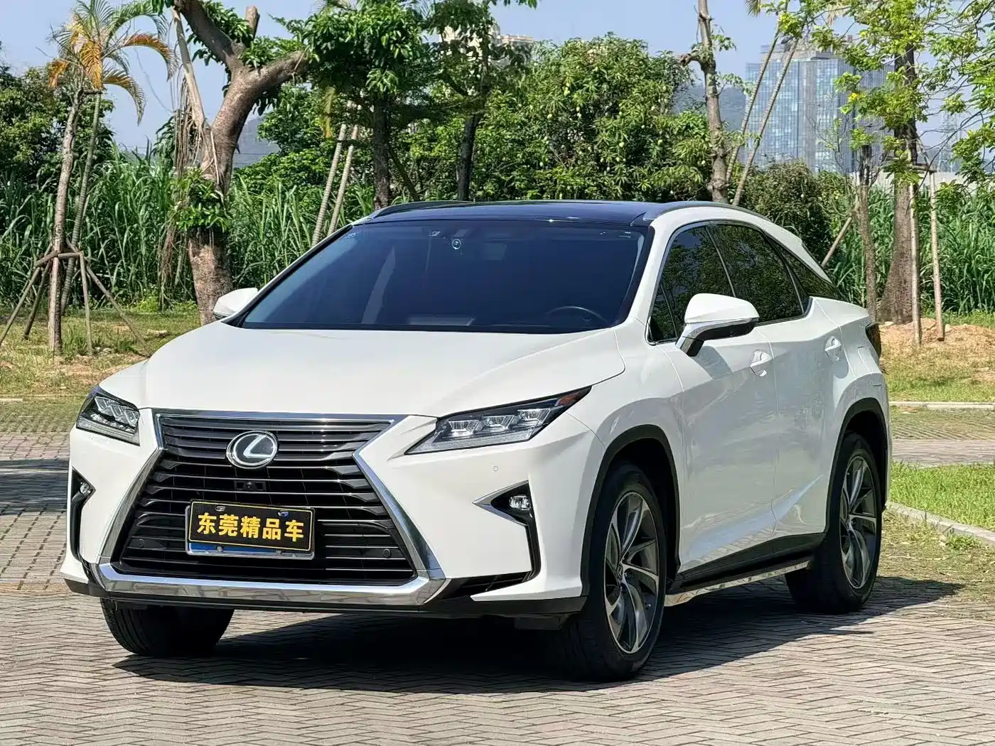 Lexus RX 2016 300 4WD Elegance Edition (China V) фото 3