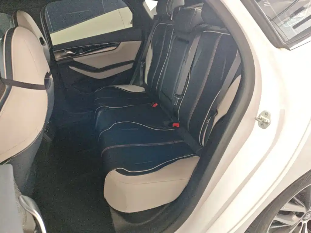 BYD Qin PLUS 2021 2021 EV 500KM Premium Model