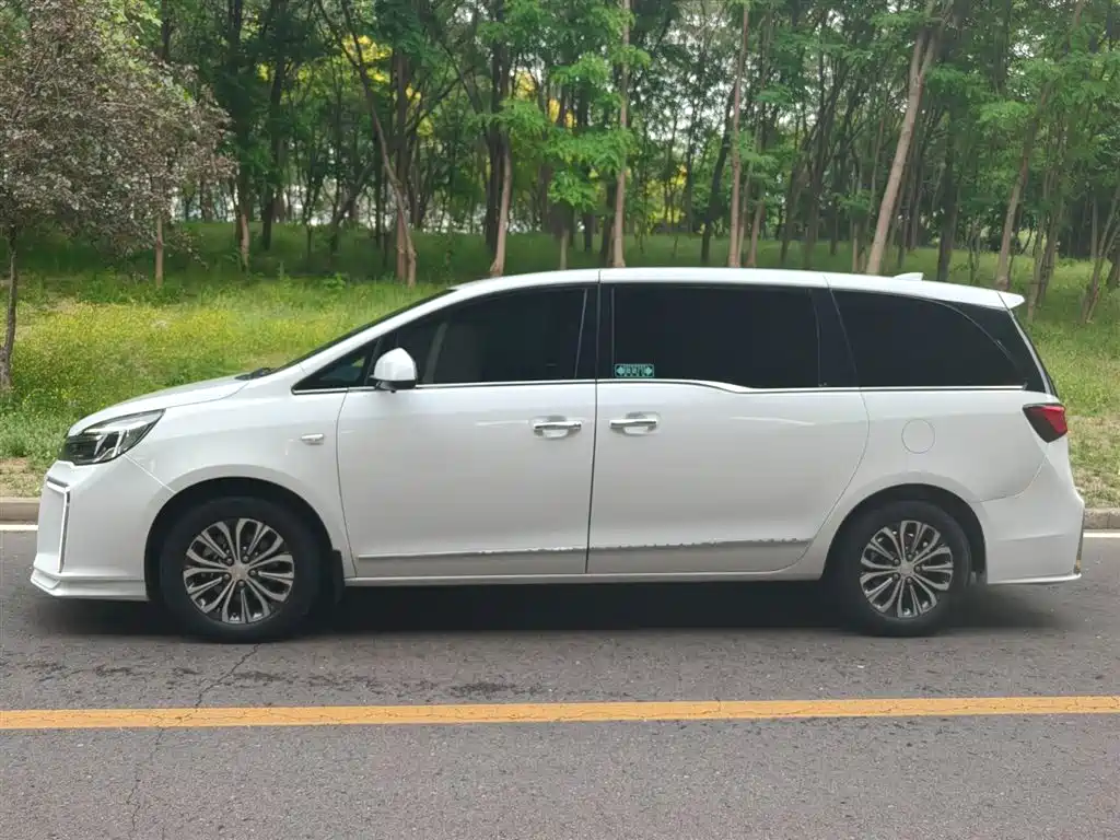 Buick GL8 2021 Land Business Class 652T Luxury фото 3