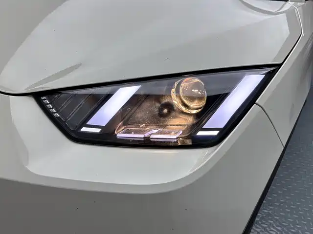 BYD Seagull 2026 2025 305km Vitality