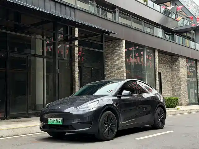 Tesla Model Y 2024 Rear-Wheel Drive Version