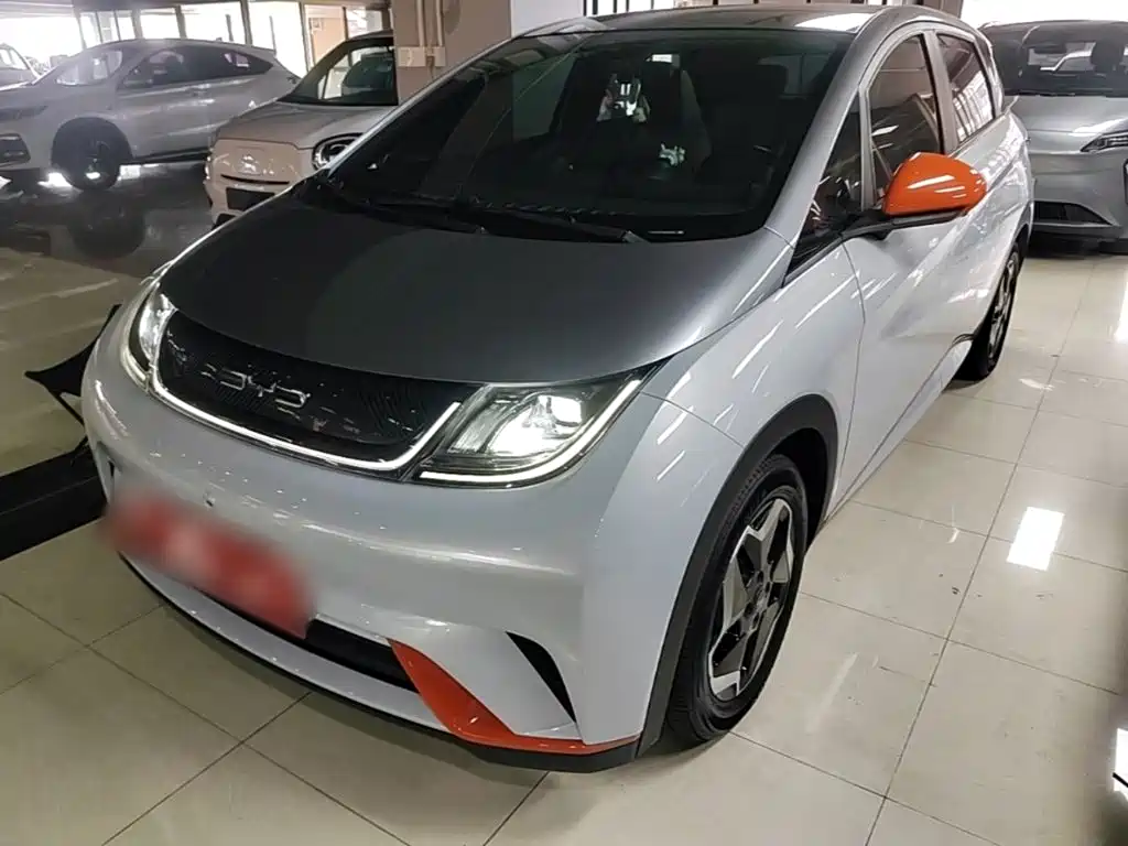 Фото 1 - BYD Dolphin