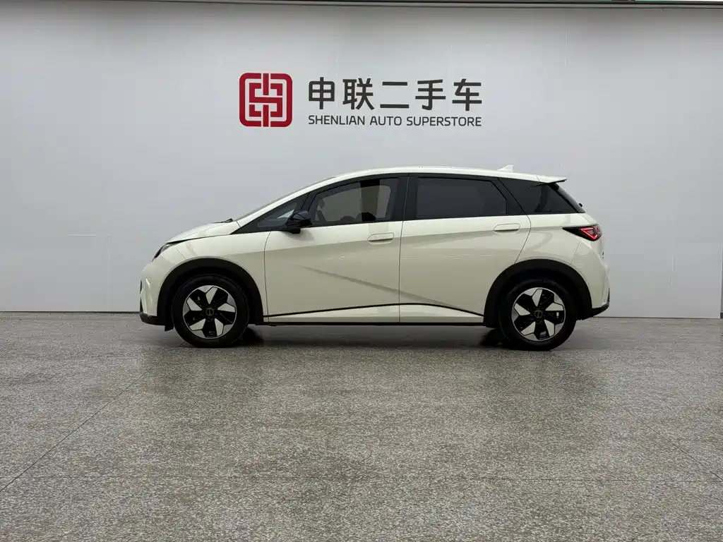 Фото 3 - BYD Dolphin