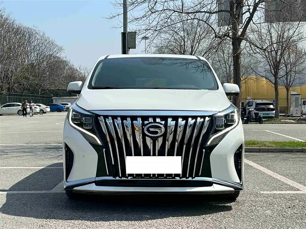 GAC Trumpchi Trumpchi M8 2021 Leading Show Series 390T Ultimate Edition фото 8