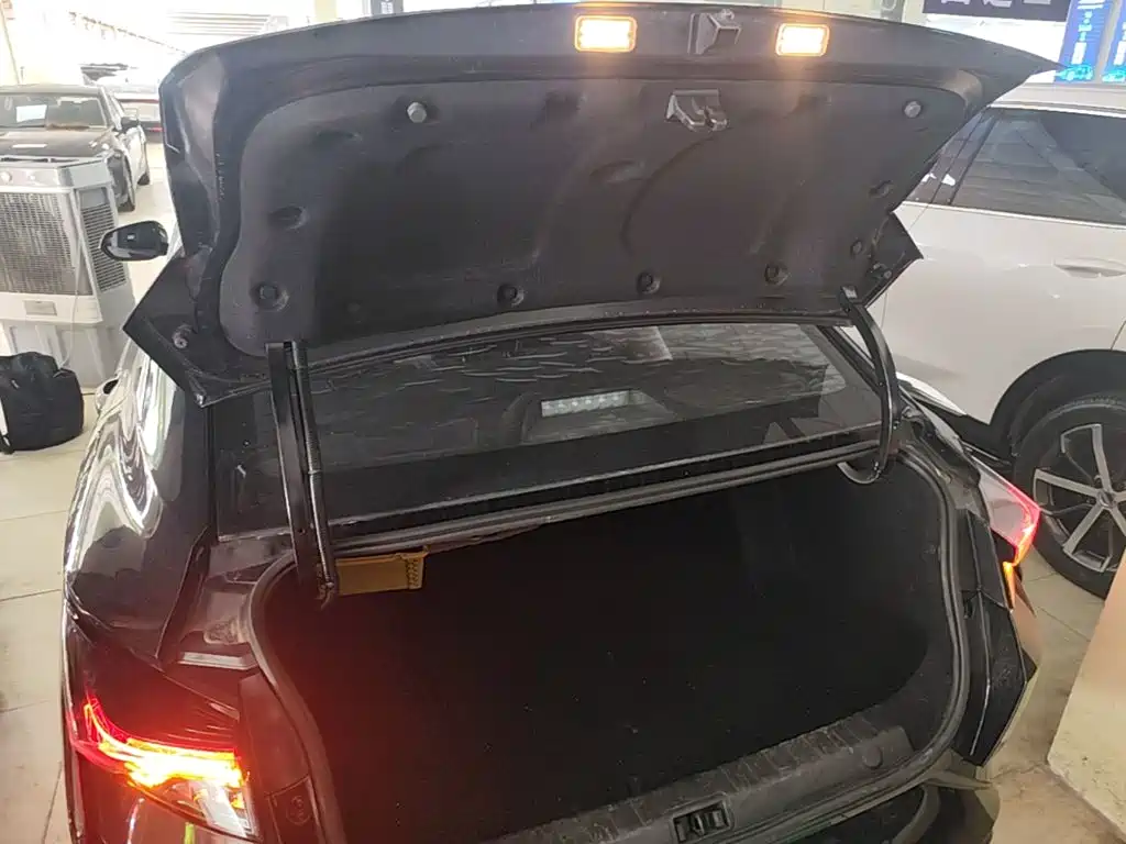 Dongfeng Aeolus Yixuan 2020 2020 230T Auto Dazzling Night Knight Edition