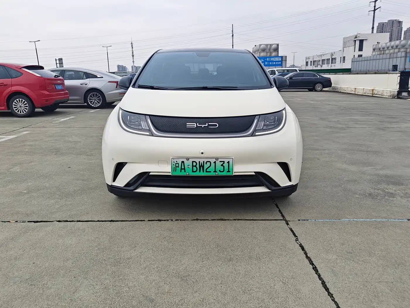 BYD Dolphin 2023 420km Fashion Edition фото 2