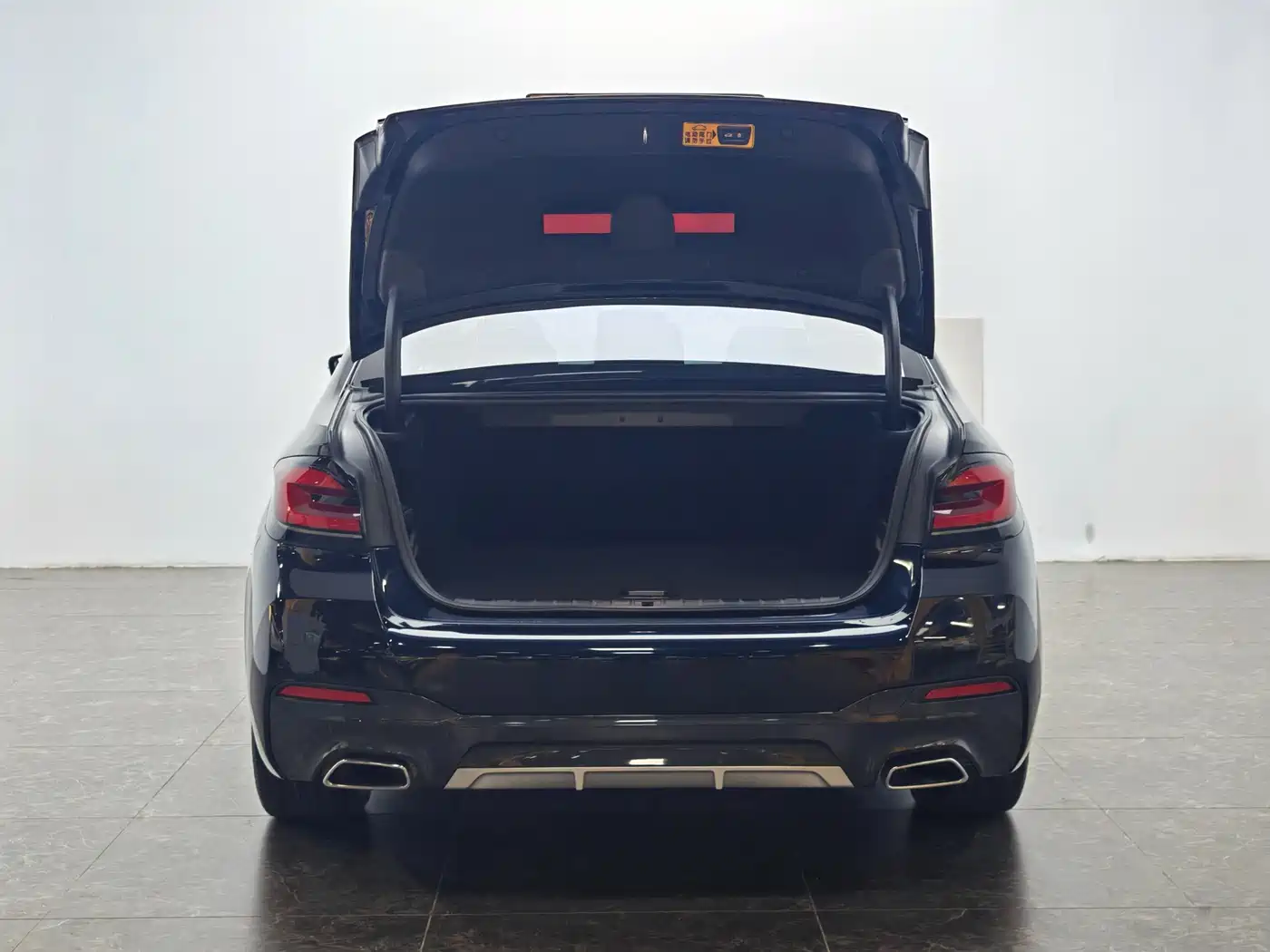 BMW 5 SERIES NEW ENERGY